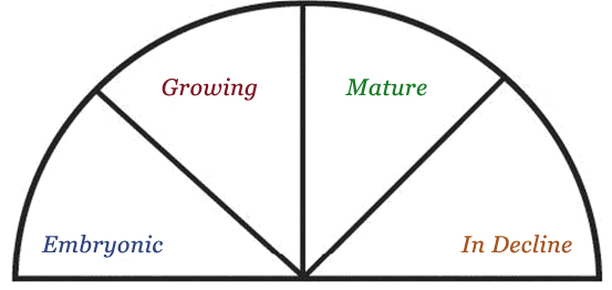 Industry Life Cycle Image
