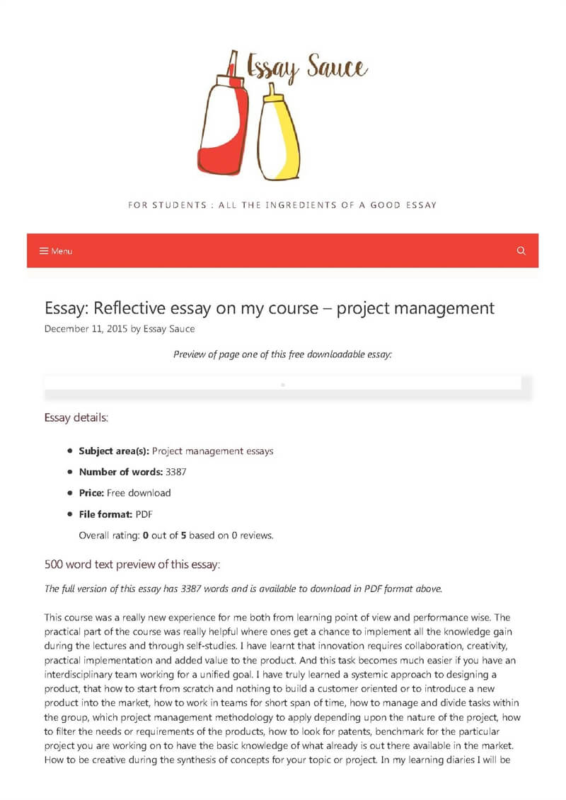 project management process essay