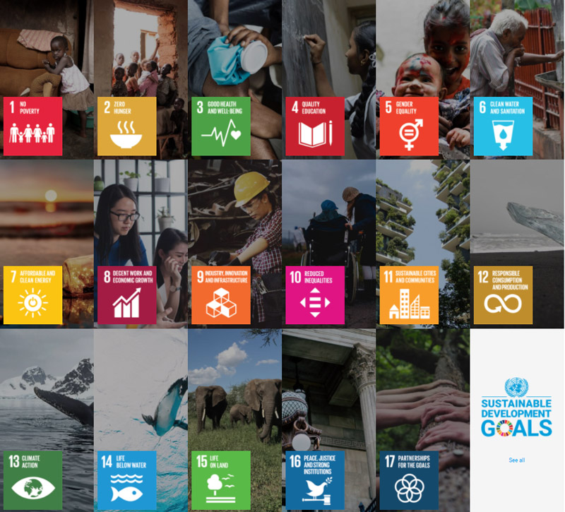 17 sustainable development goals